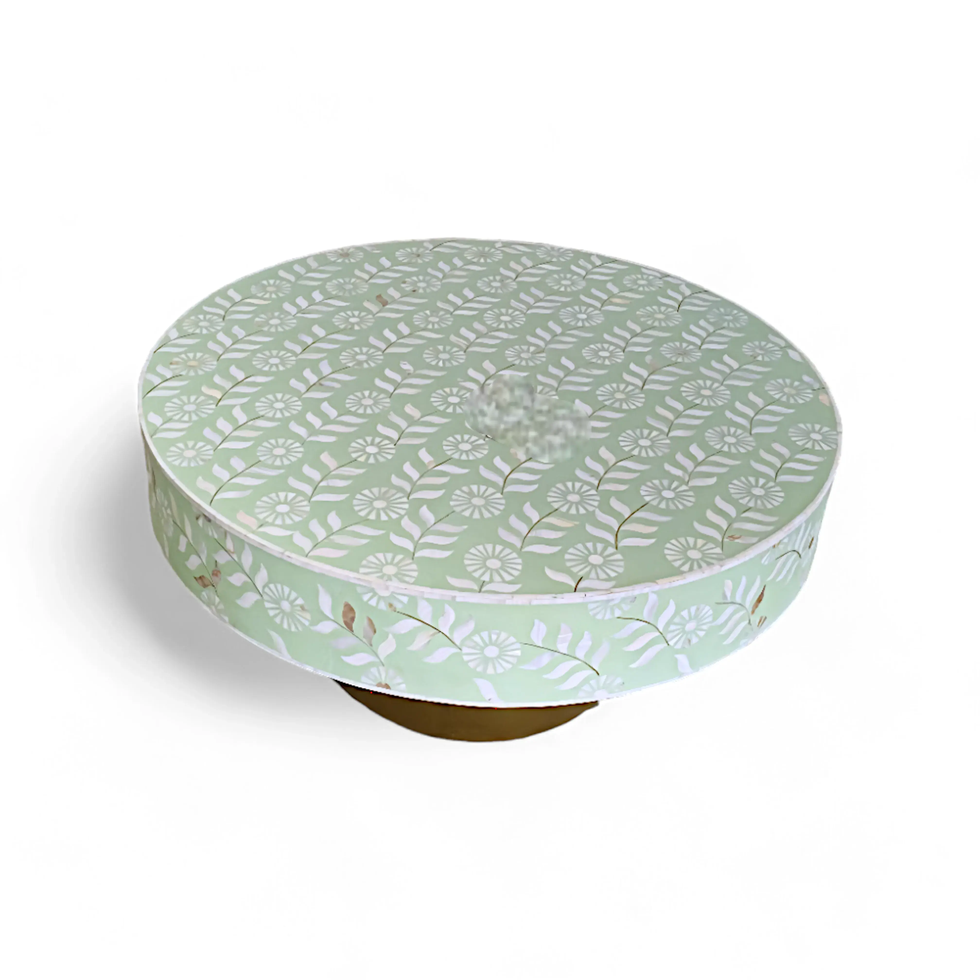 Bone inlay coffee Table